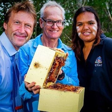 Indigenous honey enterprise abuzz after Star Entertainment deal Indigenous honey enterprise abuzz after Star Entertainment deal